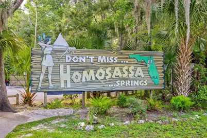 4586 S Flambeau Loop, Homosassa, FL 34448 - Photo 74