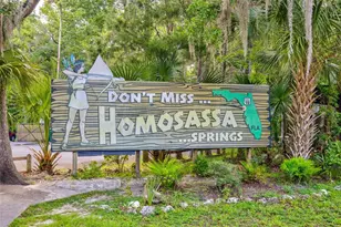 4586 S Flambeau Loop, Homosassa, FL 34448 - Photo 74