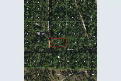 306 Little Avenue, Inverness, FL 34452 - Photo 2