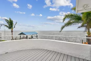 119 Carlyle Cir, Palm Harbor, FL 34683 - Photo 54