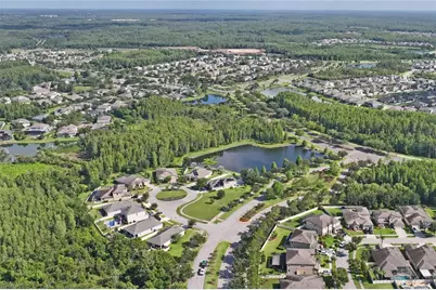 21627 Pearl Crescent Court, Land O Lakes, FL 34637 - Photo 88