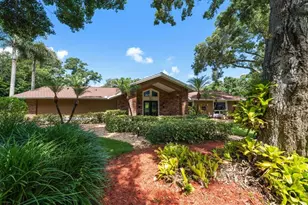 4141 Winding Willow Dr, Palm Harbor, FL 34683 - Photo 10