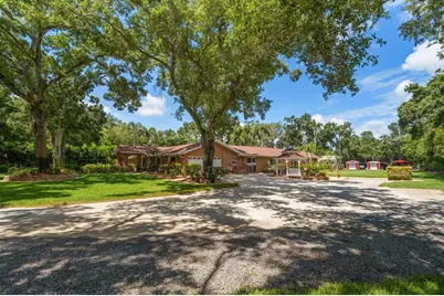 4141 Winding Willow Drive, Palm Harbor, FL 34683 - Photo 8