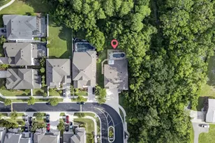 5714 Camila Song Ln, Tampa, FL 33625 - Photo 6