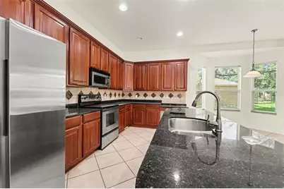 7519 Dunbridge Drive, Odessa, FL 33556 - Photo 8