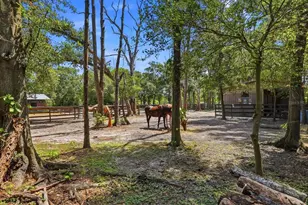 6301 S 86th Ave N, Pinellas Park, FL 33782 - Photo 36