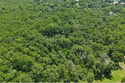 6221 Emerson Road, Brooksville, FL 34601 - Photo 38