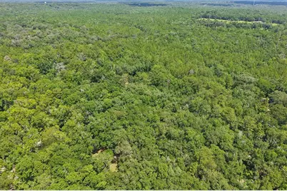 6221 Emerson Road, Brooksville, FL 34601 - Photo 42