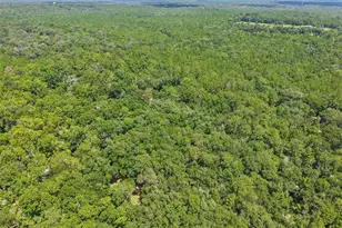 6221 Emerson Rd, Brooksville, FL 34601 - Photo 42