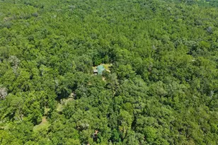 6221 Emerson Rd, Brooksville, FL 34601 - Photo 40