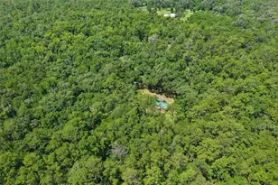 6221 Emerson Rd, Brooksville, FL 34601 - Photo 34