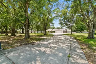 19706 Angel Ln, Odessa, FL 33556 - Photo 2