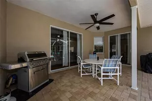 22441 Panther Run Ct, Land O Lakes, FL 34639 - Photo 44