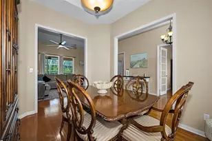 22441 Panther Run Ct, Land O Lakes, FL 34639 - Photo 8