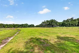 5702 Tindale Rd, Plant City, FL 33565 - Photo 64
