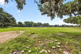 5702 Tindale Rd, Plant City, FL 33565 - Photo 52