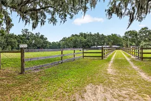 5702 Tindale Rd, Plant City, FL 33565 - Photo 60