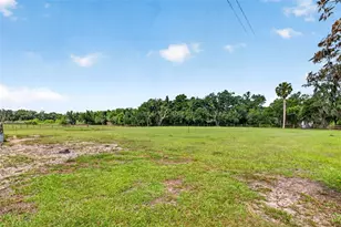 5702 Tindale Rd, Plant City, FL 33565 - Photo 58
