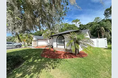 26035 Loblolly Lane, Land O Lakes, FL 34639 - Photo 4