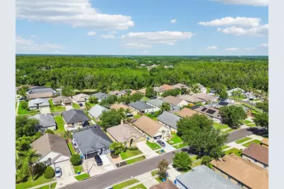 1229 Crimson Clover Lane, Wesley Chapel, FL 33543 - Photo 38