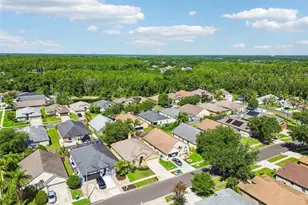 1229 Crimson Clover Ln, Wesley Chapel, FL 33543 - Photo 38