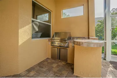27447 Water Ash Drive, Wesley Chapel, FL 33544 - Photo 52