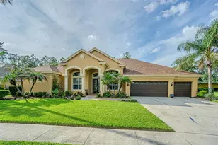 27447 Water Ash Dr, Wesley Chapel, FL 33544 - Photo 1