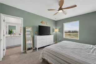 472 Mangrove Shade Cir, Apollo Beach, FL 33572 - Photo 46