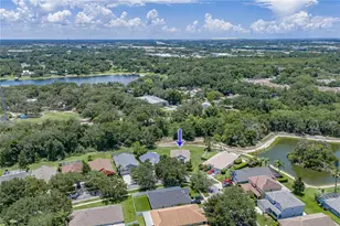 623 Straw Lake Dr, Brandon, FL 33510 - Photo 52