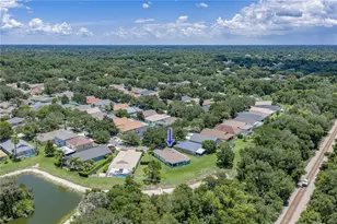 623 Straw Lake Dr, Brandon, FL 33510 - Photo 62