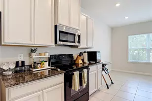10699 Old Sycamore Loop, Land O Lakes, FL 34638 - Photo 16