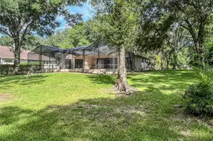 9020 Shenandoah Run, Wesley Chapel, FL 33544 - Photo 48