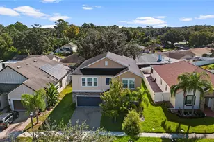 3147 Calvano Dr, Land O Lakes, FL 34639 - Photo 54