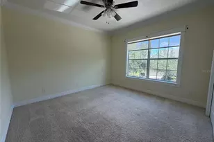 10531 Mistflower Ln, Tampa, FL 33647 - Photo 14