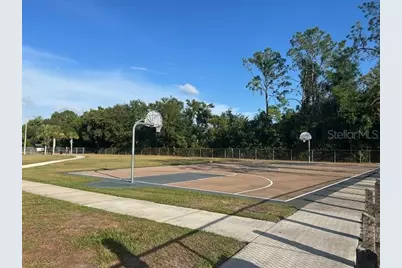 12417 Cardiff Drive, Tampa, FL 33625 - Photo 32