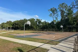12417 Cardiff Dr, Tampa, FL 33625 - Photo 32