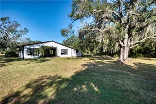 5310 Jim Davis Rd, Parrish, FL 34219 - Photo 48