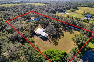 5310 Jim Davis Rd, Parrish, FL 34219 - Photo 72