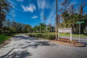 250 Woodlake Wynde, Oldsmar, FL 34677 - Photo 16
