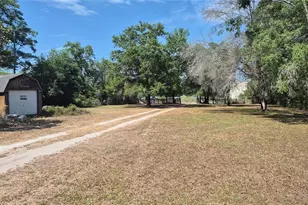 12858 Hialeah Ave, New Port Richey, FL 34654 - Photo 4