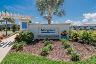 331 Mangrove Shade Cir, Apollo Beach, FL 33572 - Photo 46