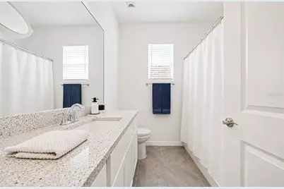 31398 Ancient Sage Road, Wesley Chapel, FL 33545 - Photo 10