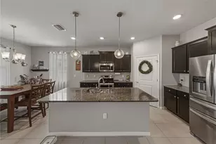 31785 Tansy Bnd, Wesley Chapel, FL 33545 - Photo 16