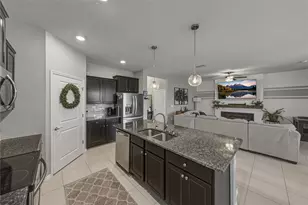 31785 Tansy Bnd, Wesley Chapel, FL 33545 - Photo 20