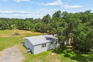 5411 Pless Rd, Plant City, FL 33565 - Photo 42