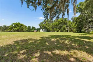 5411 Pless Rd, Plant City, FL 33565 - Photo 46