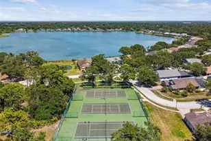 10035 Remington Dr, Riverview, FL 33578 - Photo 48