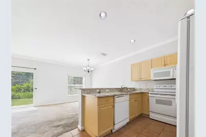 16310 Fairford Palms Court, Tampa, FL 33647 - Photo 10