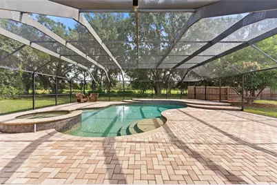 10204 Tranquil Lane, Odessa, FL 33556 - Photo 32