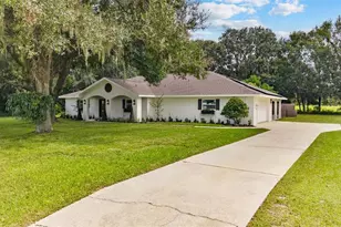 10204 Tranquil Ln, Odessa, FL 33556 - Photo 1